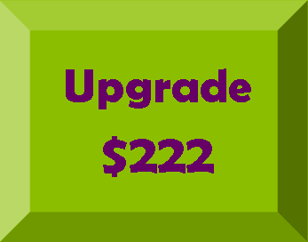 upgrade 222 green purple