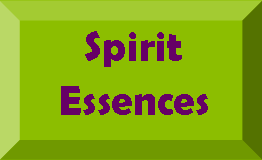 spirit essences