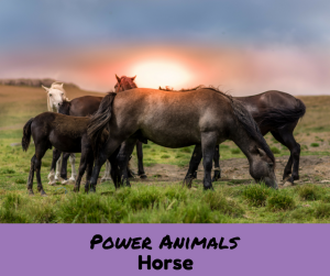 power-animals