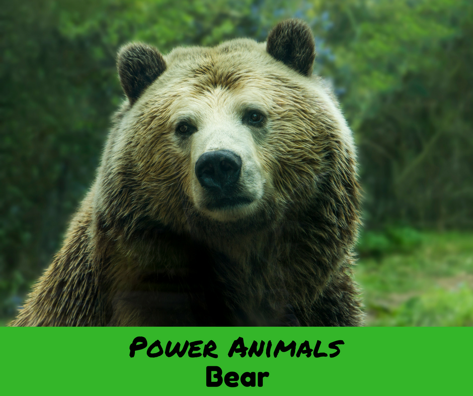 power-animals-bear